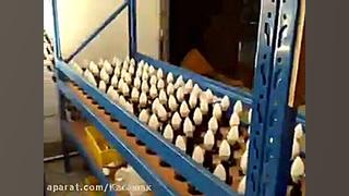 تست لامپهای ال ای دی در کارخانه لامپ کارامکس دریک