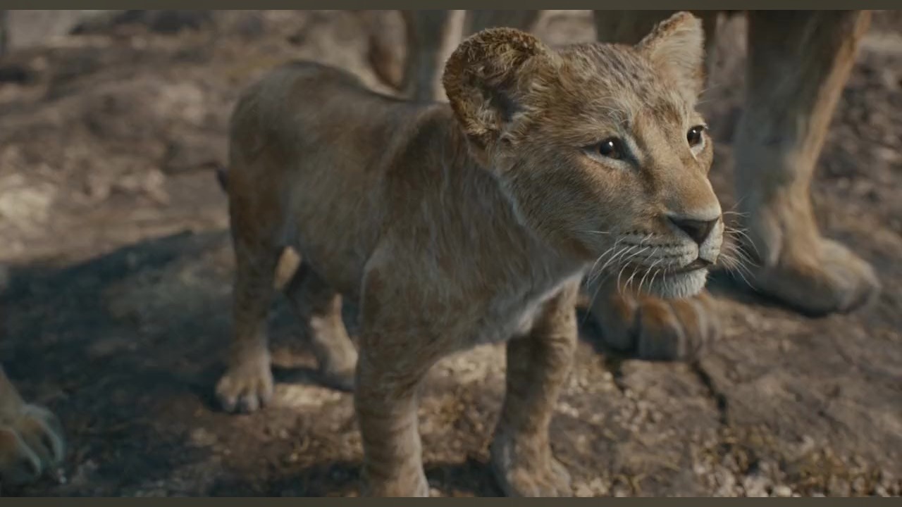 انیمیشن موفاسا: شیر شاه 2024 دوبله فارسی زمان7257ثانیه