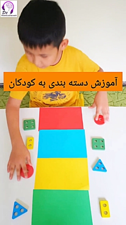 آموزش دسته‌ بندی؛ گامی مهم برای رشد ذهنی کودک!