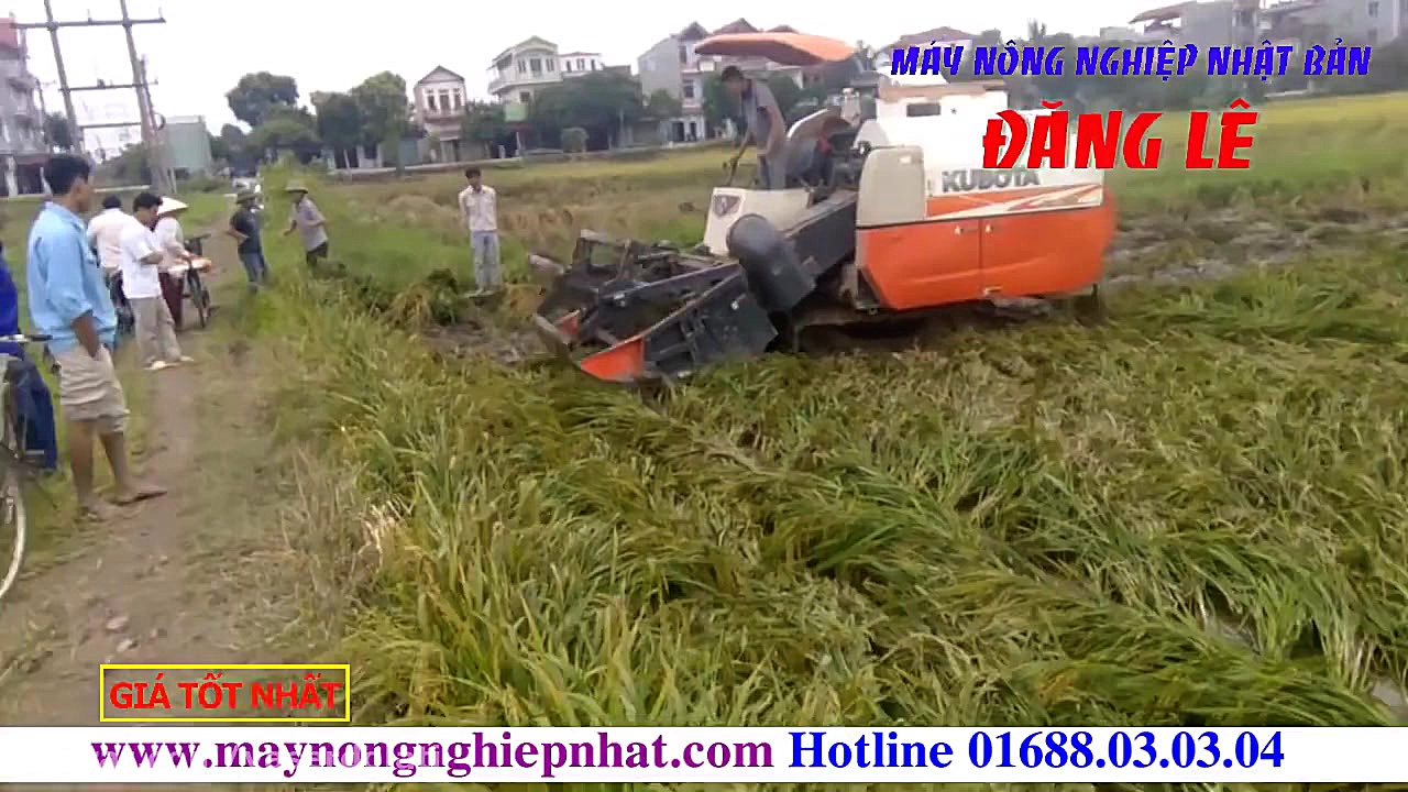 Máy gặt lúa liên hợp Kubota DC70G Thái Lan gặt thu hoạch lúa đổ ngả sát gốc ở B ماموپلاستی