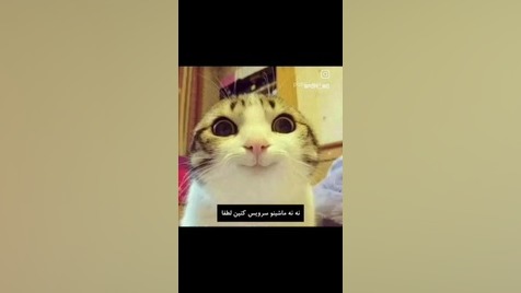 گفت و گو ویژه:))) دیوید بکهام