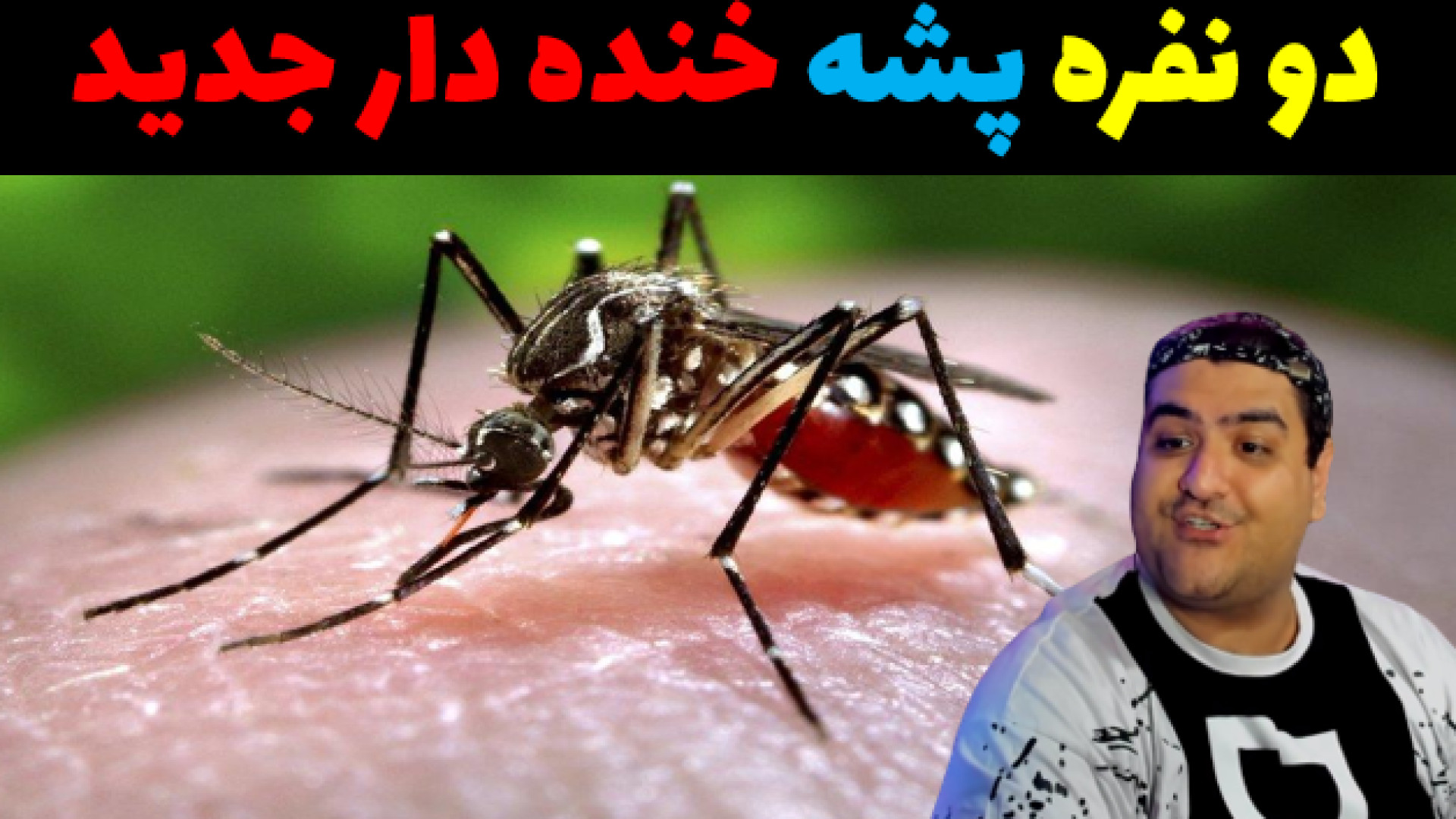 بازی پشه دو نفره خنده دار The Mosquito Gang پارت سوم مارال فرجاد