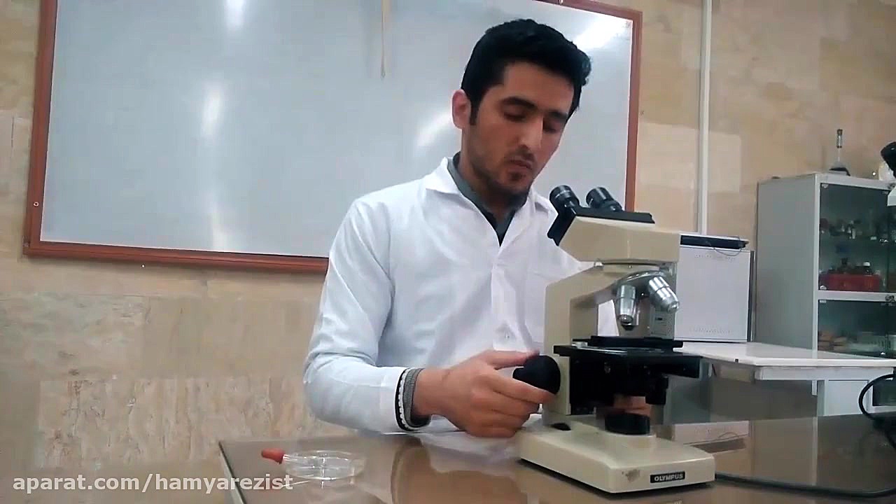 آموزش کار با میکروسکوپ نوری لیزر فرکشنال