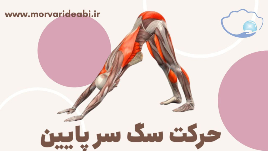 حرکت سگ سر پایین یا