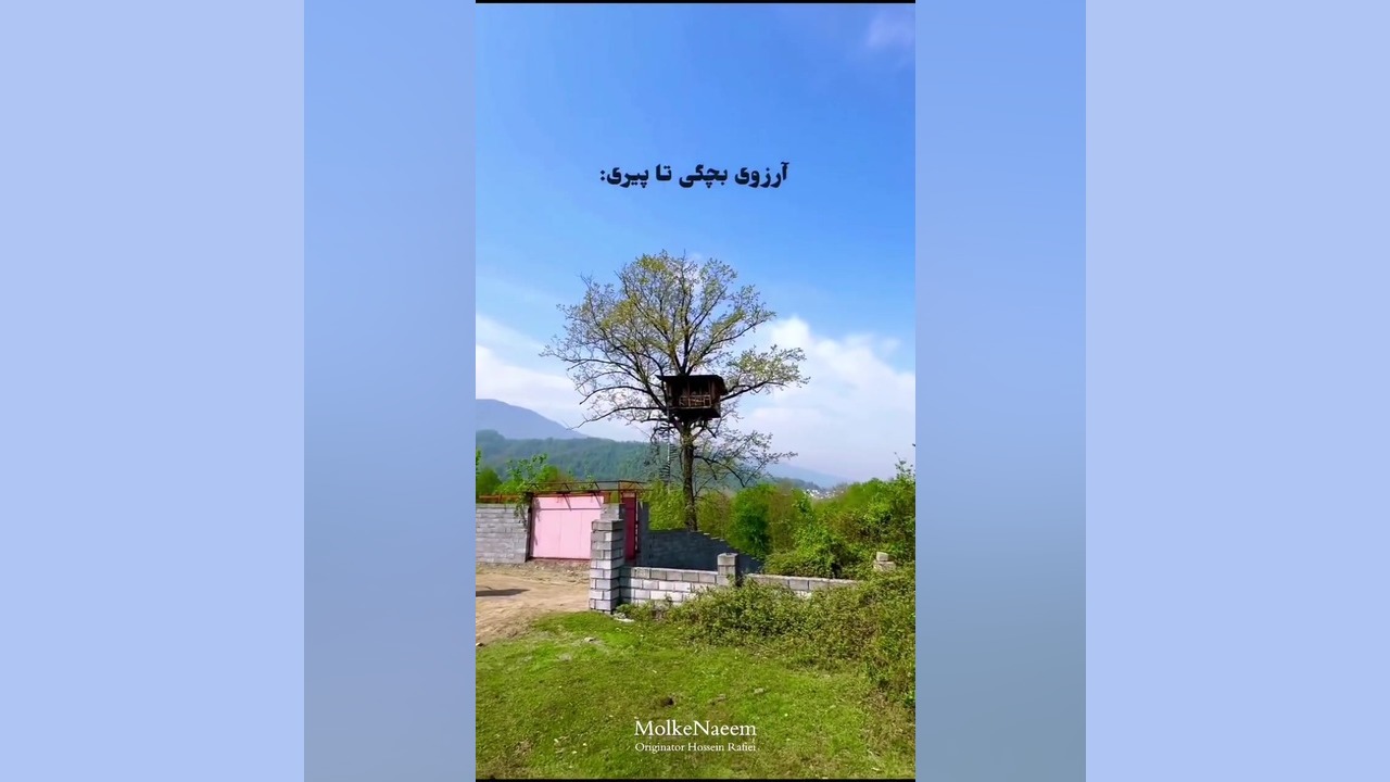 آرزوی بچگی تا پیری “ خونه درختی” امیر جدیدی