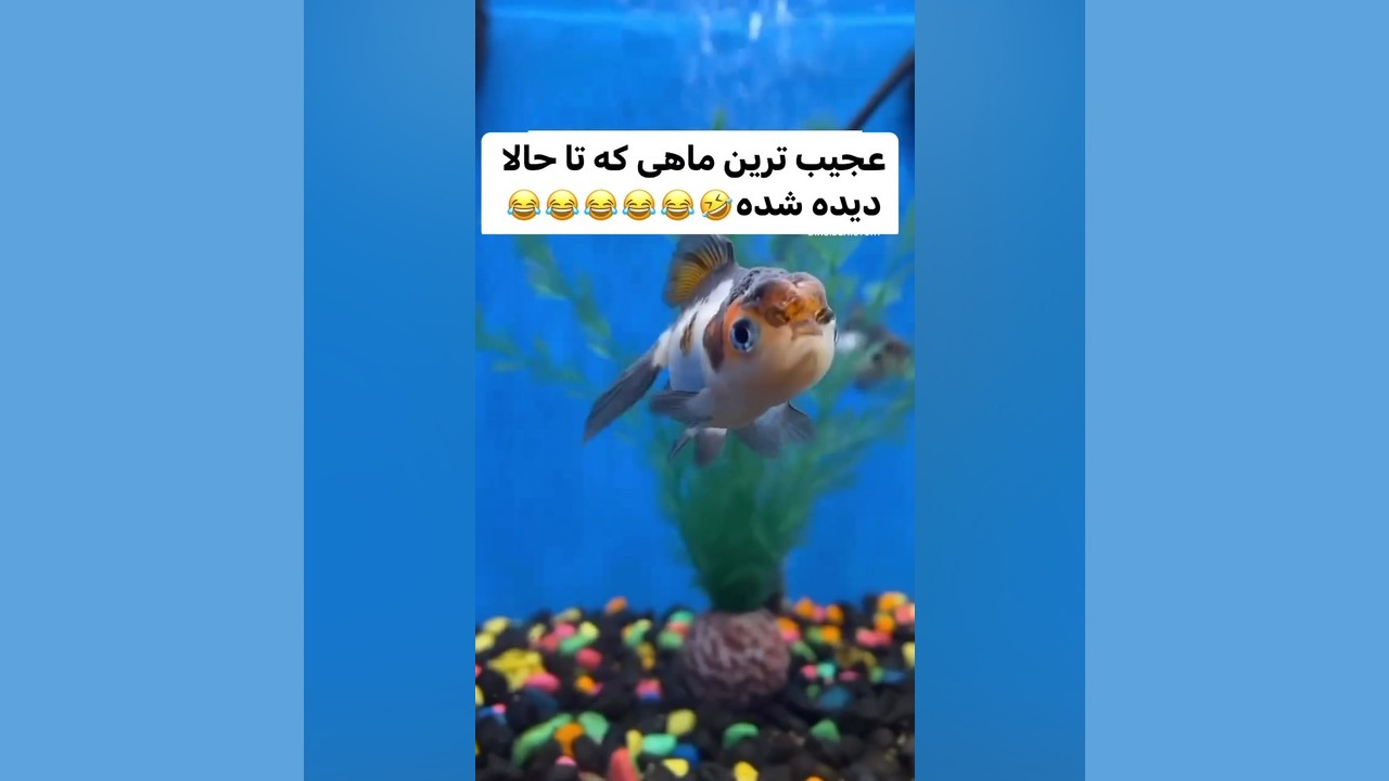 کلیپ خنده دار کلینیک لیزر