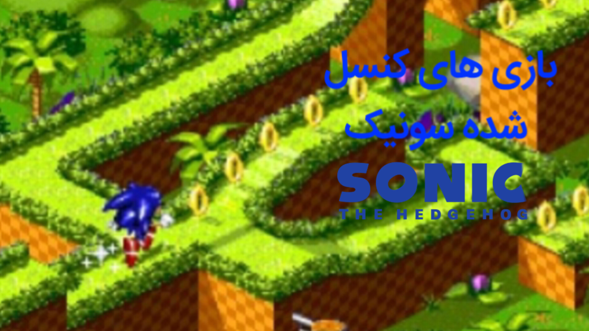 بازی های کنسل شده سونیک Sonic the Hedgehog برداشتن زگیل