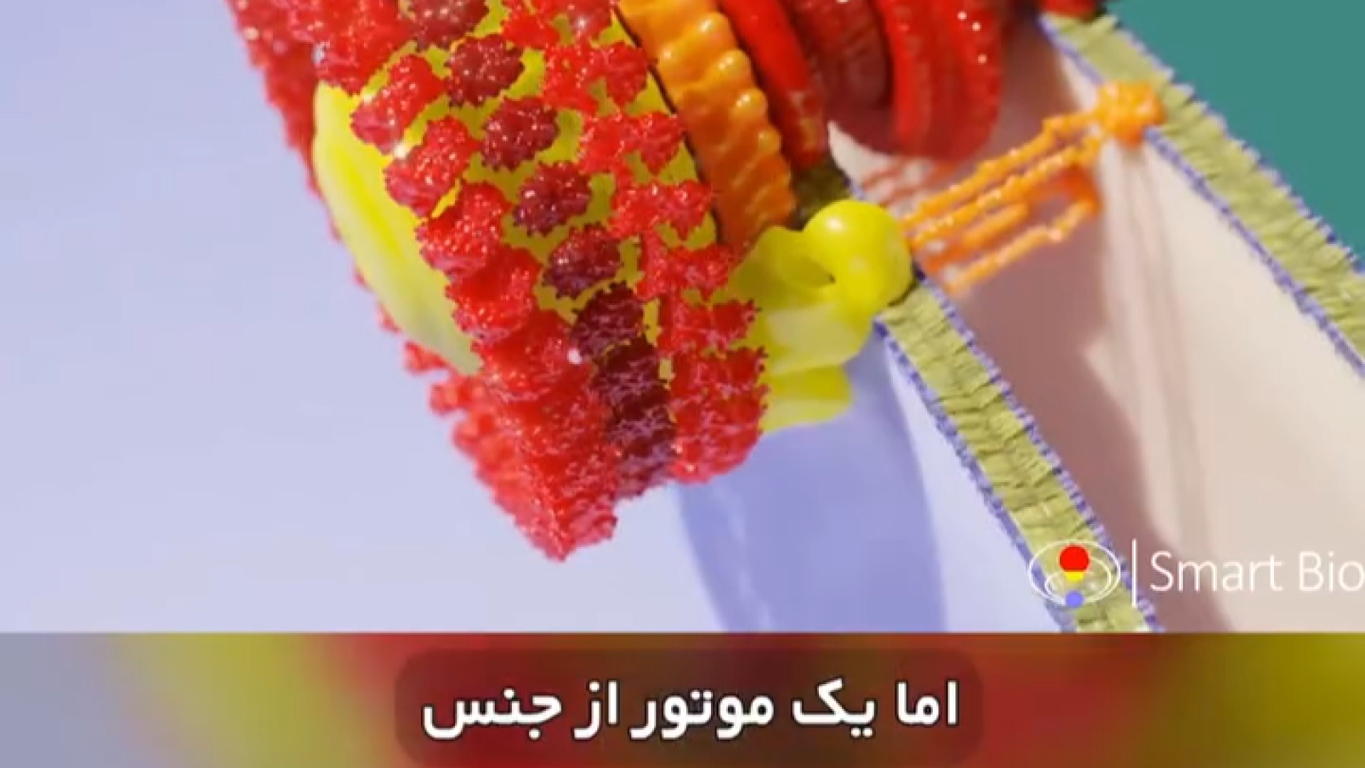 موتور فلاژلار باکتری ویروس‌شناسی انسانی