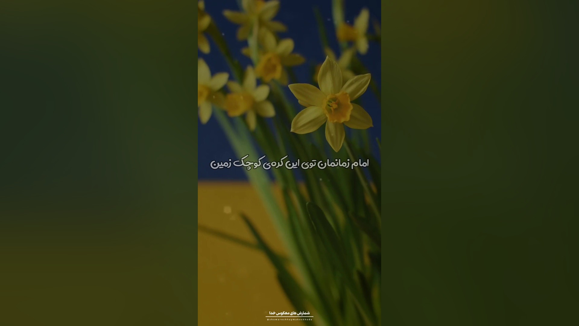 چرا از امام زمانمون غافل هستیم؟کلیپ و استوری امام زمانی..استوری قشنگ امام زمان Apoptosis Pathway Analysis
