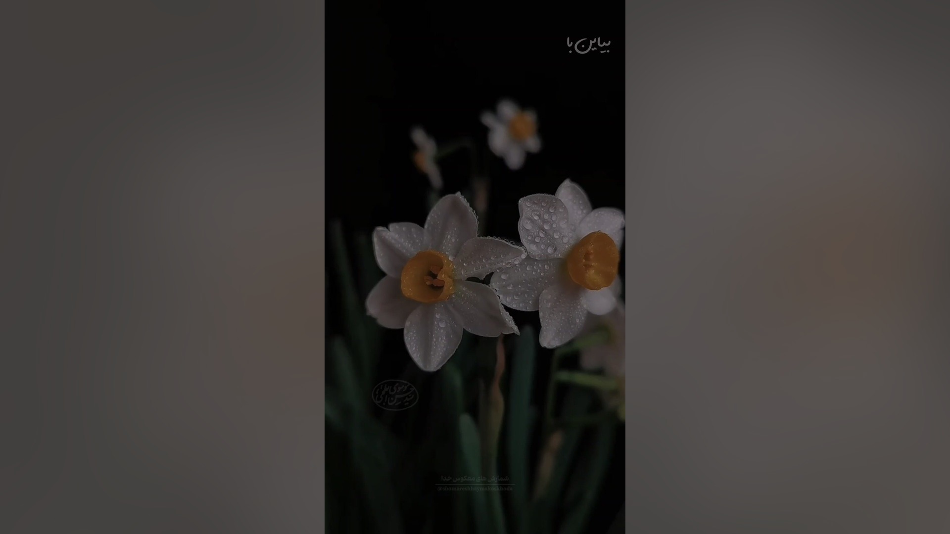 با اعمالمون از امام زمان حمایت کنیم..استوری قشنگ امام زمان..کلیپ امام زمان HiChIP