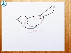 چگونه گنجشک بکشم؟