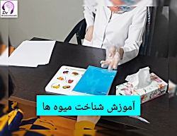 آموزش شناخت میوه ها