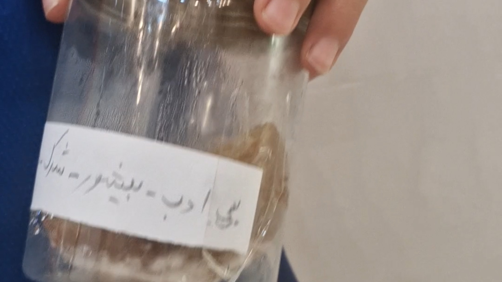 آزمایش تاثیر کلمات مثبت و منفی بر روی میوه و موجودات توسط کودکان پرت و پلا