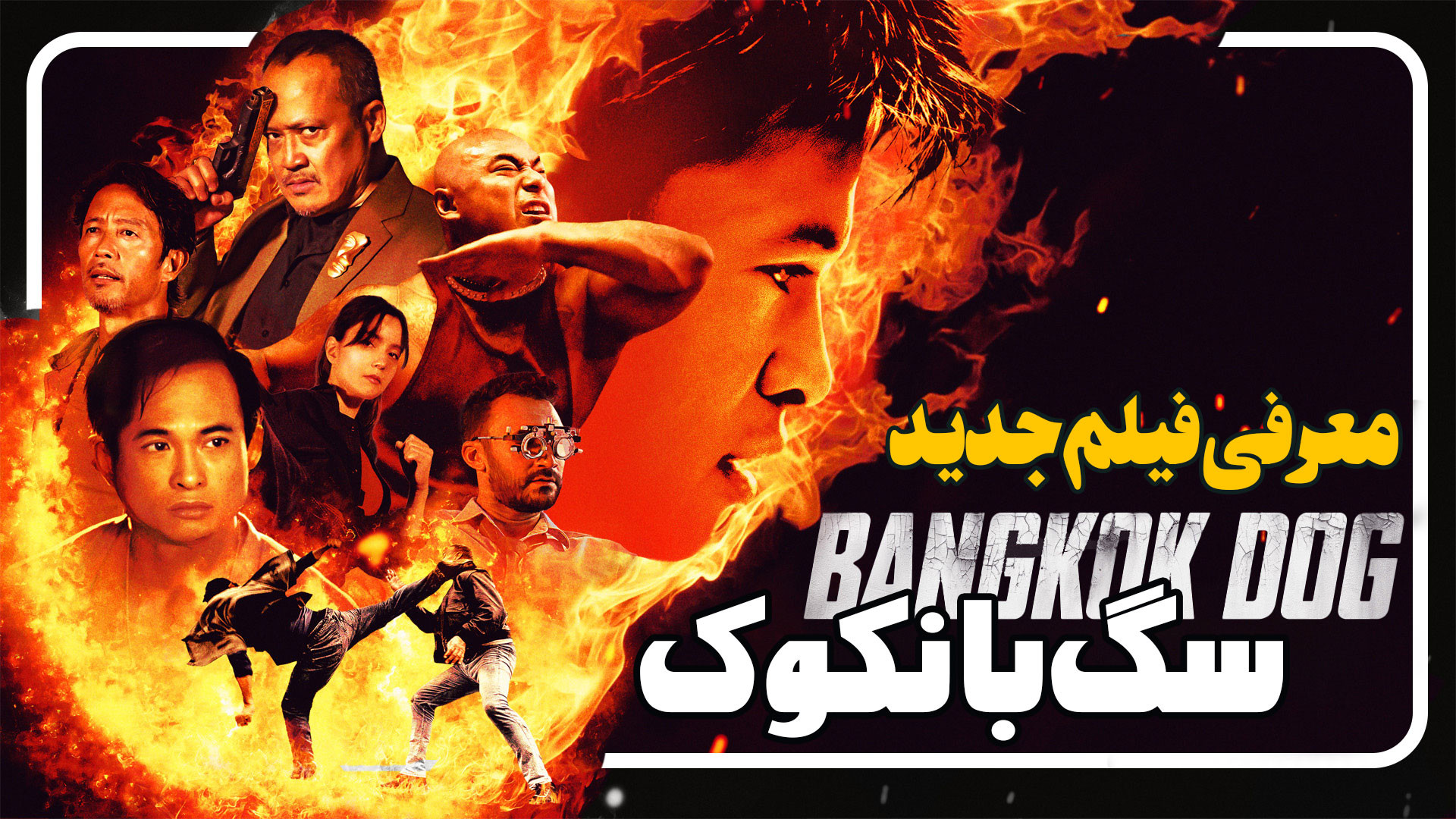 معرفی فیلم سگ بانکوک Bangkok Dog زمان191ثانیه