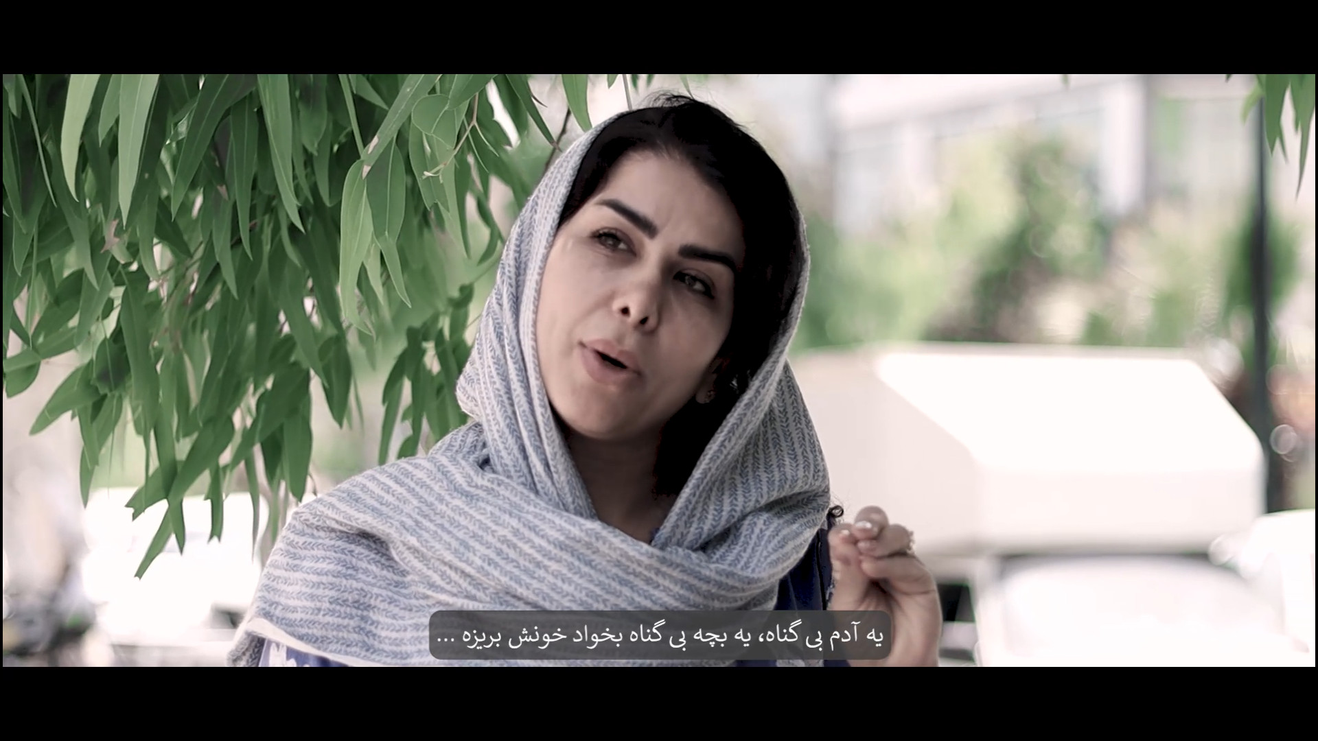 نهالی ۹ ساله به نام باران که خشکانده شد!