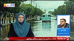 سیل در بوشهر / رئیس ستاد بحران...
