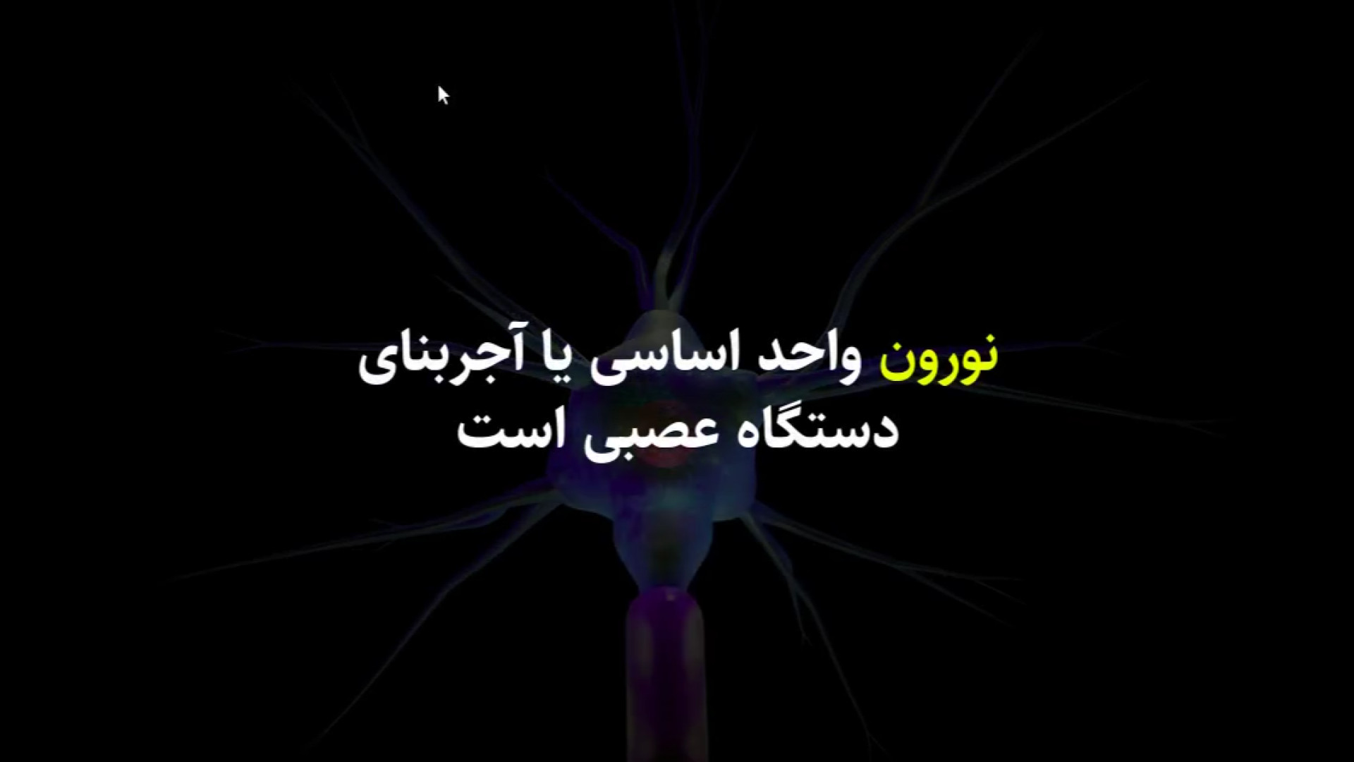 آجر بنای دستگاه عصبی: نورون چیست؟ پتانسیل عمل چگونه اتفاق می افتد؟ کلینیک زیبایی