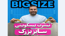 تیشرت POLO اورجینال سایزبزرگ4030(کدمحصول:600)