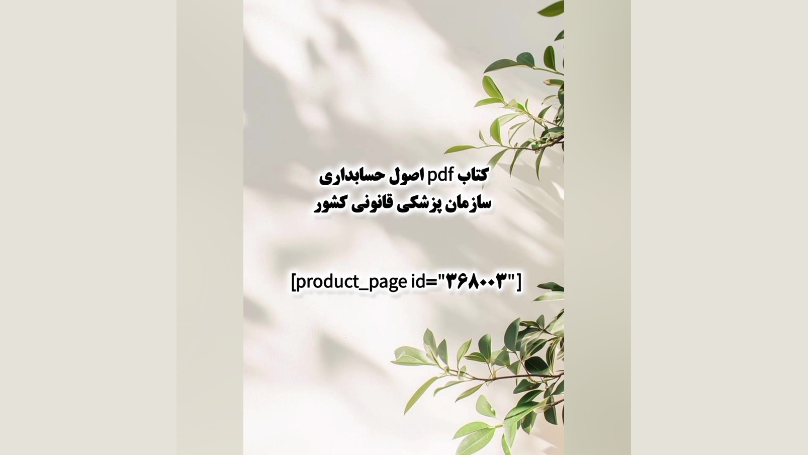 کتاب pdf اصول حسابداری سازمان پزشکی قانونی کشور بررسی لک صورت