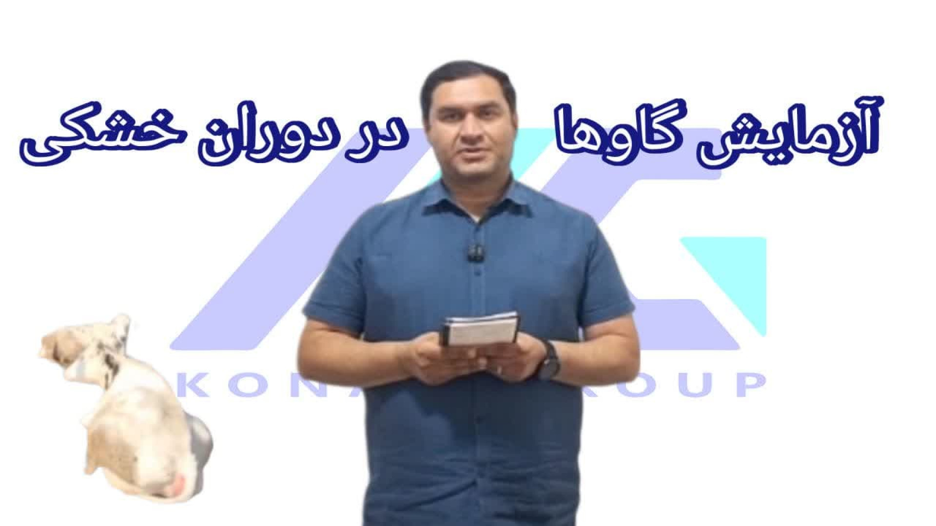 مقاله دانشگاه فلوریدا_ آزمایش گاوها در دوران خشکی عکس هنری