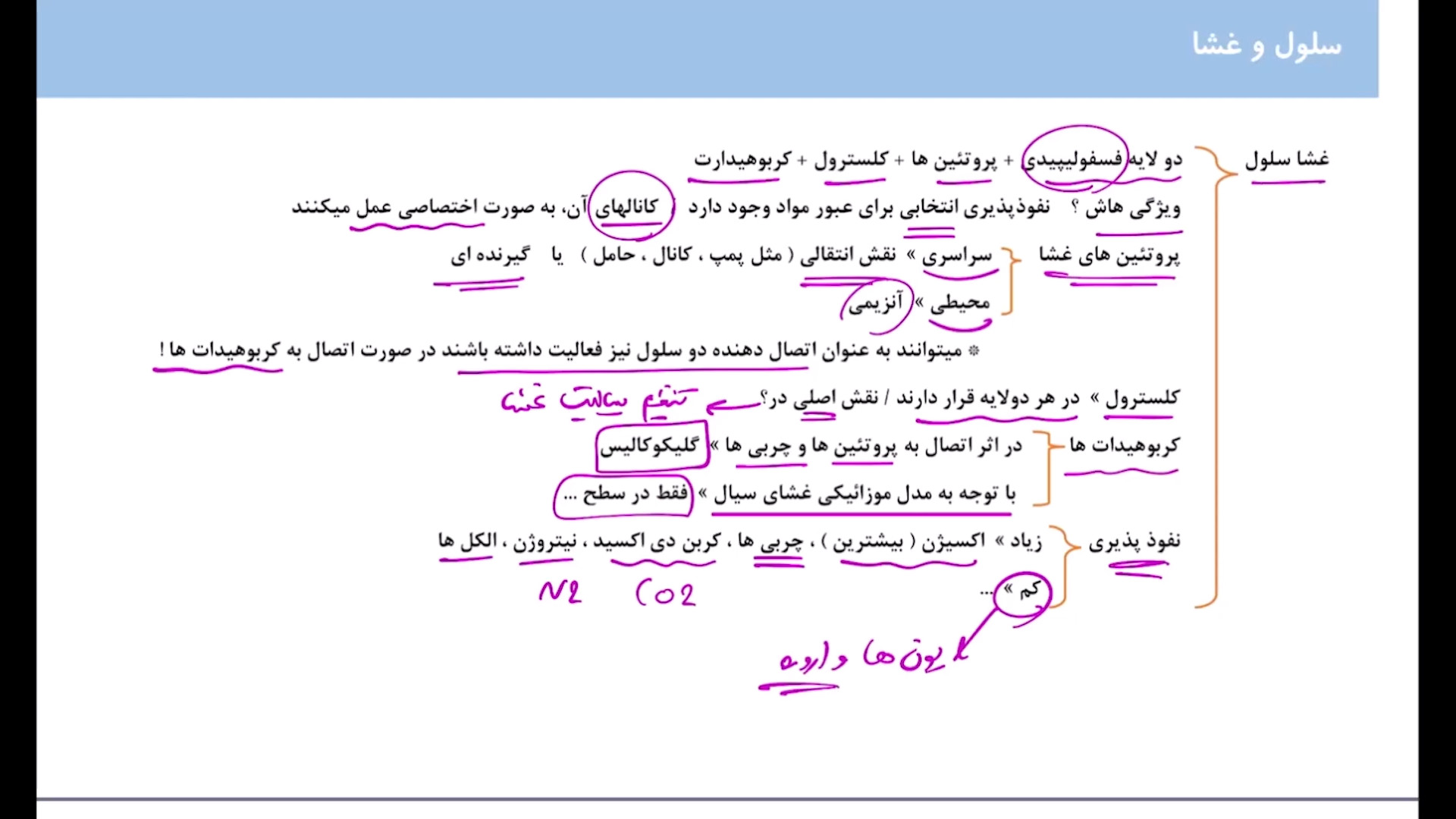 فیزیولوژی سلول مدتست گیمر