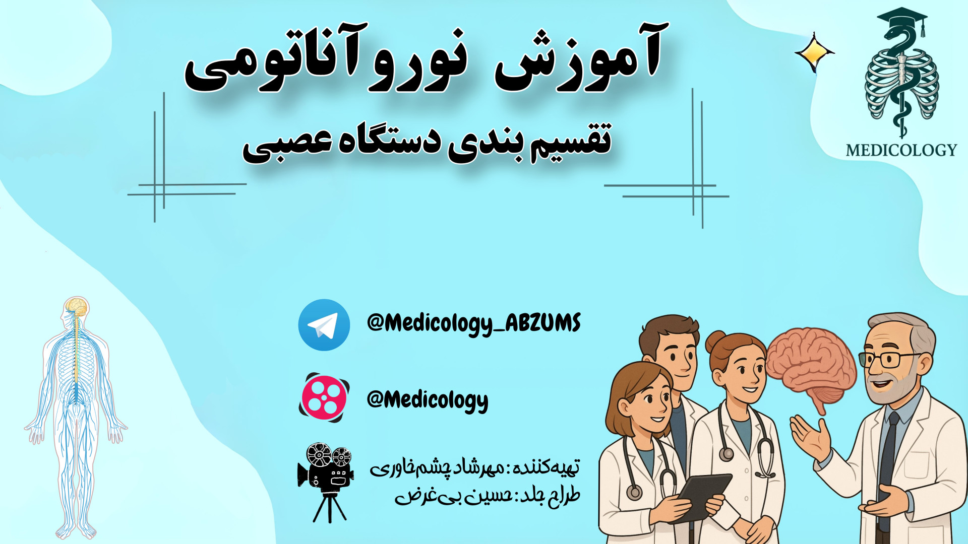 آناتومی تقسیم بندی دستگاه عصبی - نوروآناتومی دندان مصنوعی