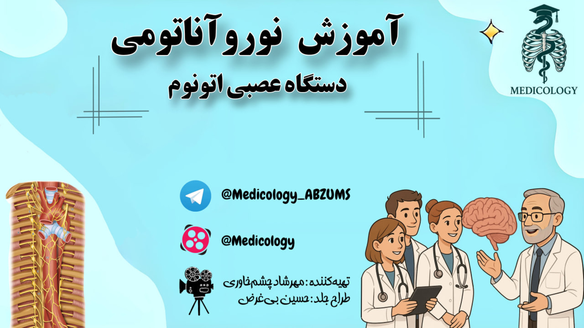 آناتومی دستگاه عصبی اتونوم - نوروآناتومی دندان مصنوعی
