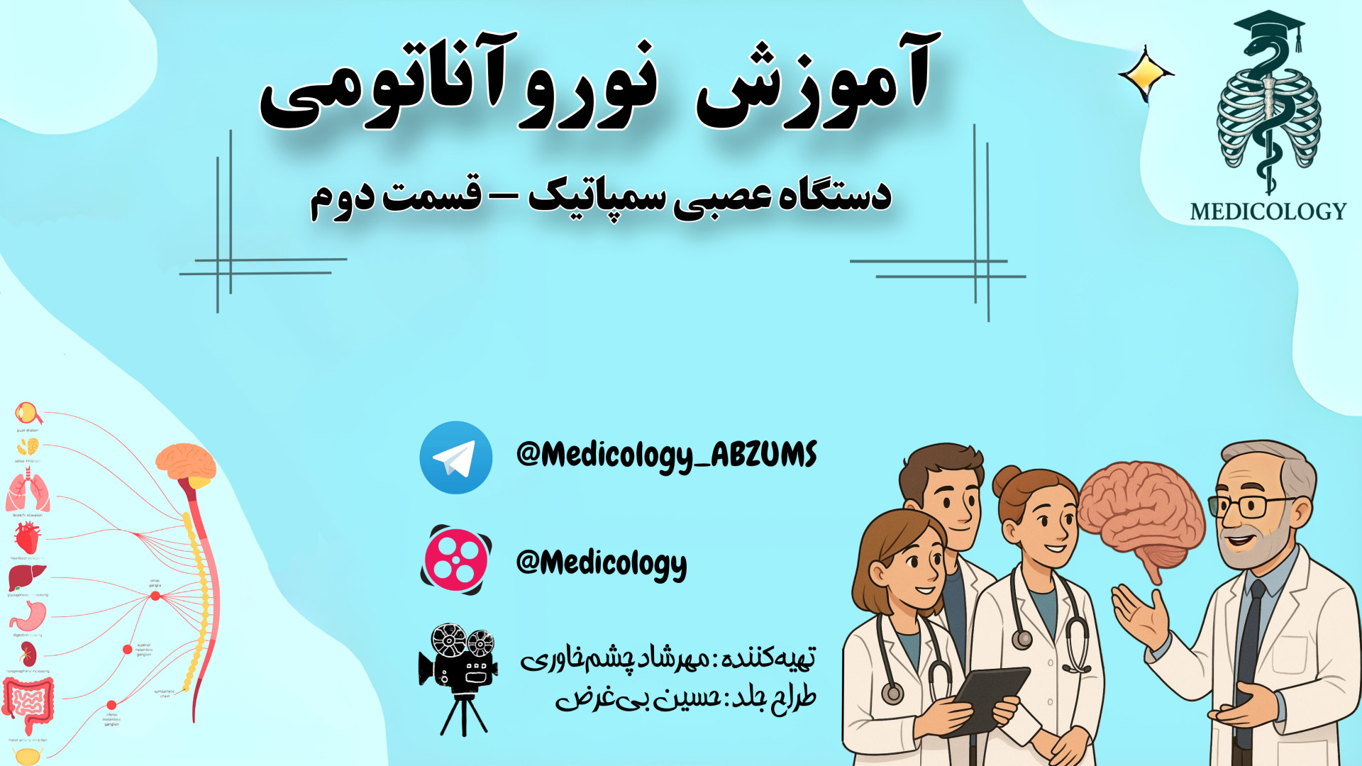 آناتومی دستگاه عصبی سمپاتیک - قسمت دوم - نوروآناتومی رادیوگرافی دندان