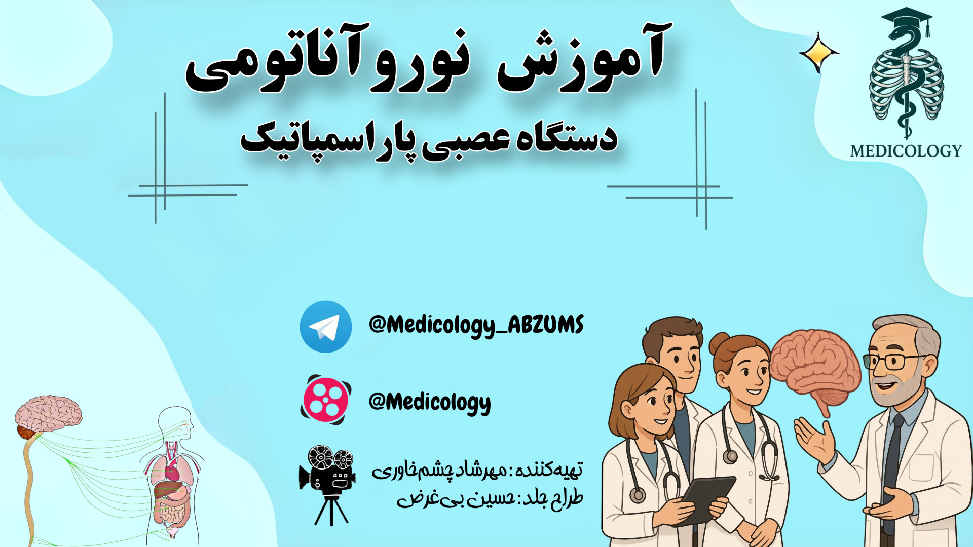 آناتومی دستگاه عصبی پاراسمپاتیک - نوروآناتومی ارتودنسی