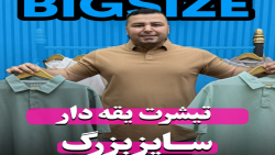 پولوشرت بیسیک اورجینال سایزبزرگ4030(کدمحصول:640)
