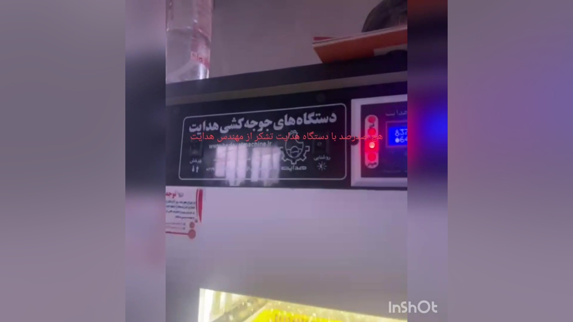 هچ صد در صد با دستگاه جوجه کشی هدایت لولوی بیابون