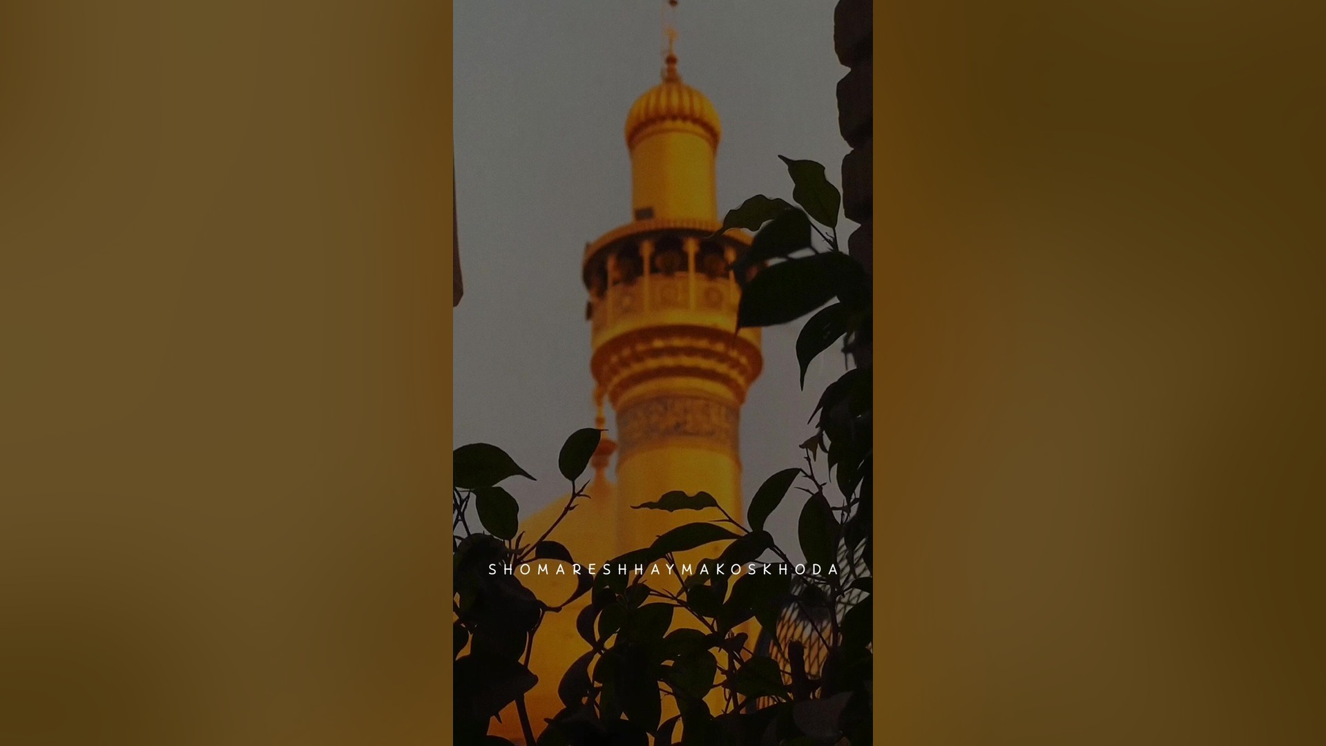 زیارت آل یاسین تصویری/کلیپ و استوری قشنگ امام زمان/کلیپ و استوری معنوی آزمایش شمارش رتیکولوسیت