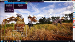 امکانات برنامه بوجاری آرتا - قسمت دوم - ورود برنج توسط کشاورزان بصورت امانی