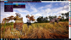 امکانات برنامه بوجاری آرتا - قسمت سوم - خرید برنج توسط کارخانه