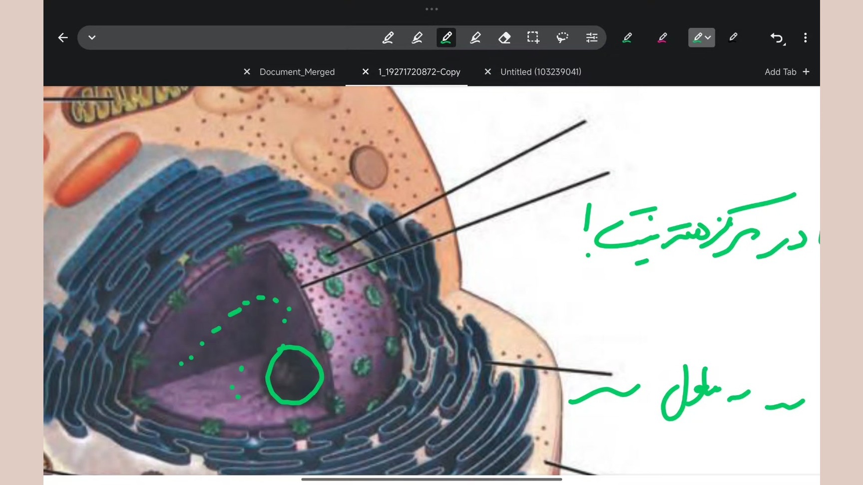 تحلیل و بررسی شکل سلول و اندامک ها فصل یک دهم دیوید بکهام