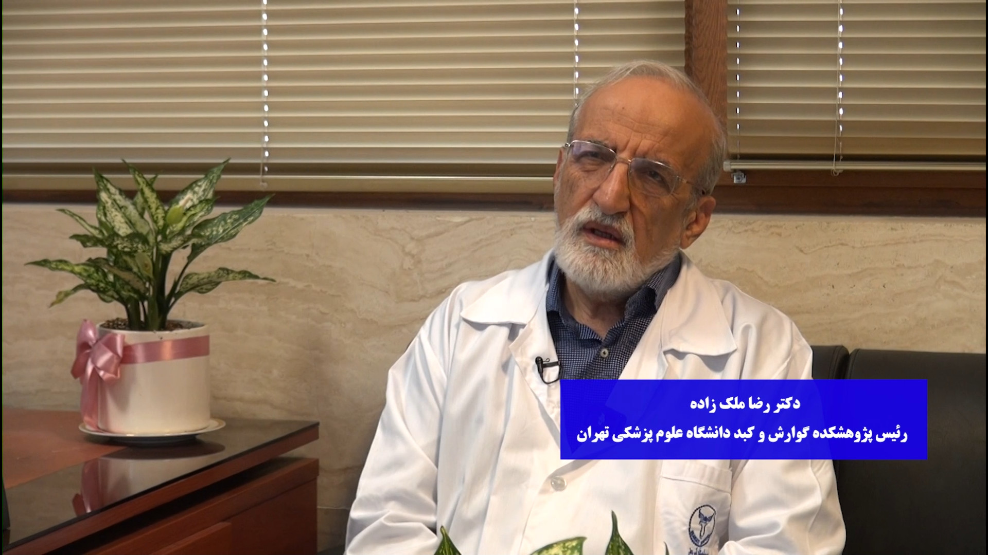 گفت‌ وگو با دکتر رضا ملک‌زاده درباره نفخ شکم و علل رایج آن گل گدوت
