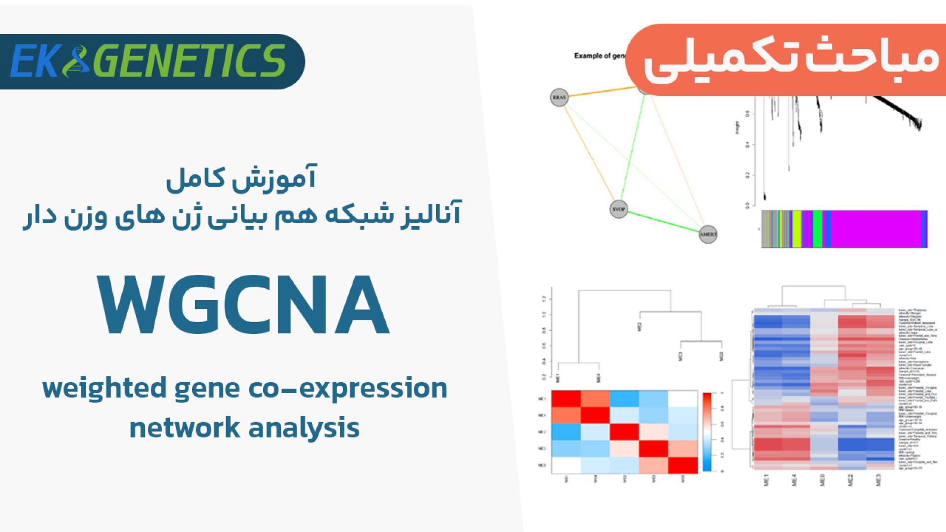 بیوانفورماتیک - مباحث تکمیلی دوره آموزش WGCNA گیمر دماغ‌آلبالویی