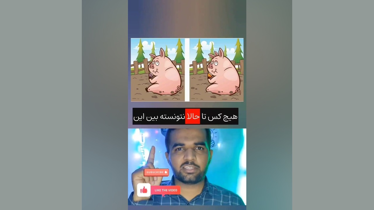 تست دقت: فقط افراد باهوش می‌توانند اختلاف این تصاویر را پیدا کنند! ایریدوتيكان