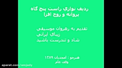 ردیف نوازی نی حامد امجدیان راس...