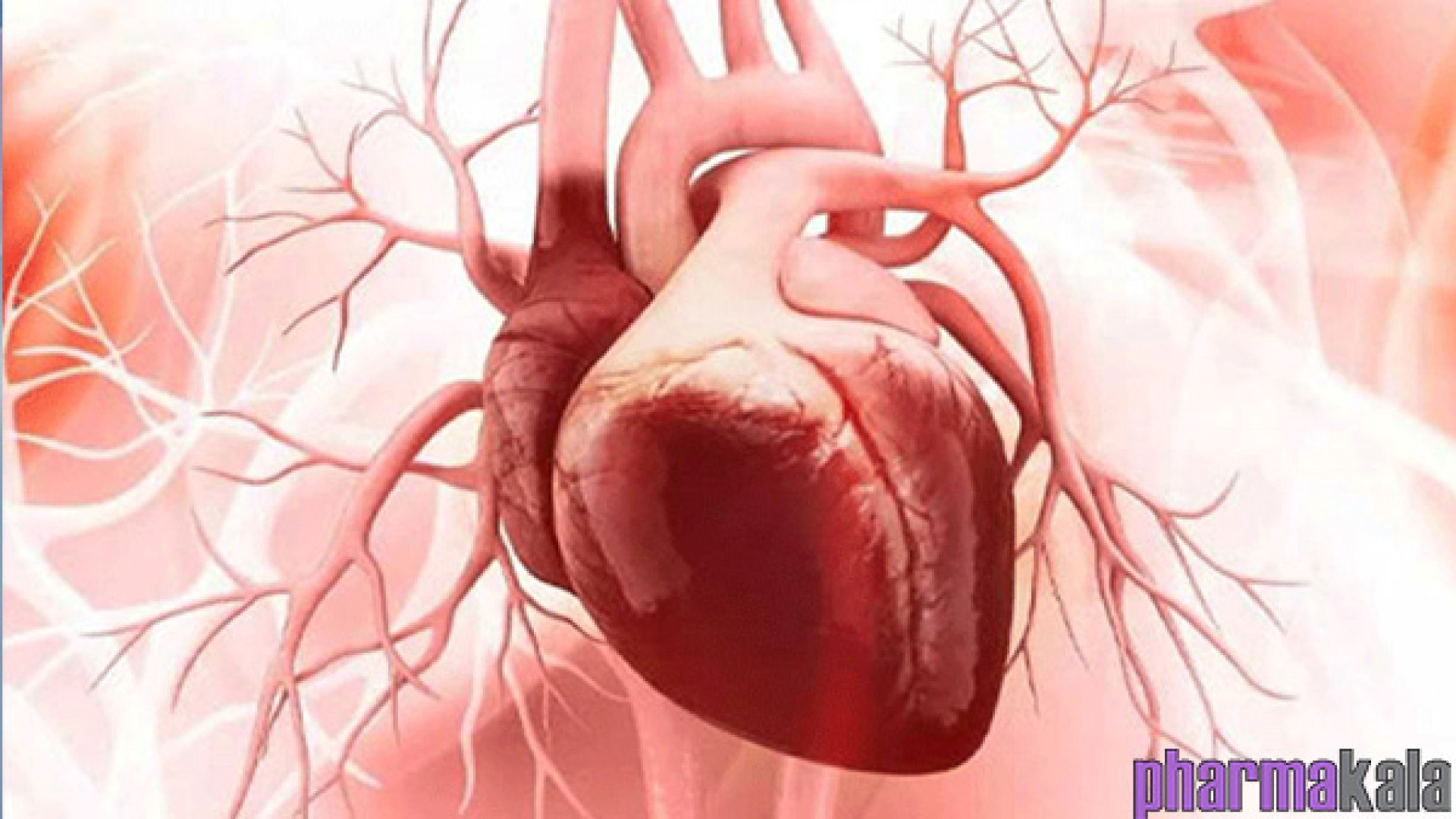 بیماری های قلبی و عروقی عصب‌کشی