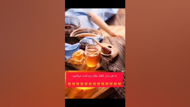 عثل طبیعی درجه ۱ با برگه آزمایش اندودنتیکس