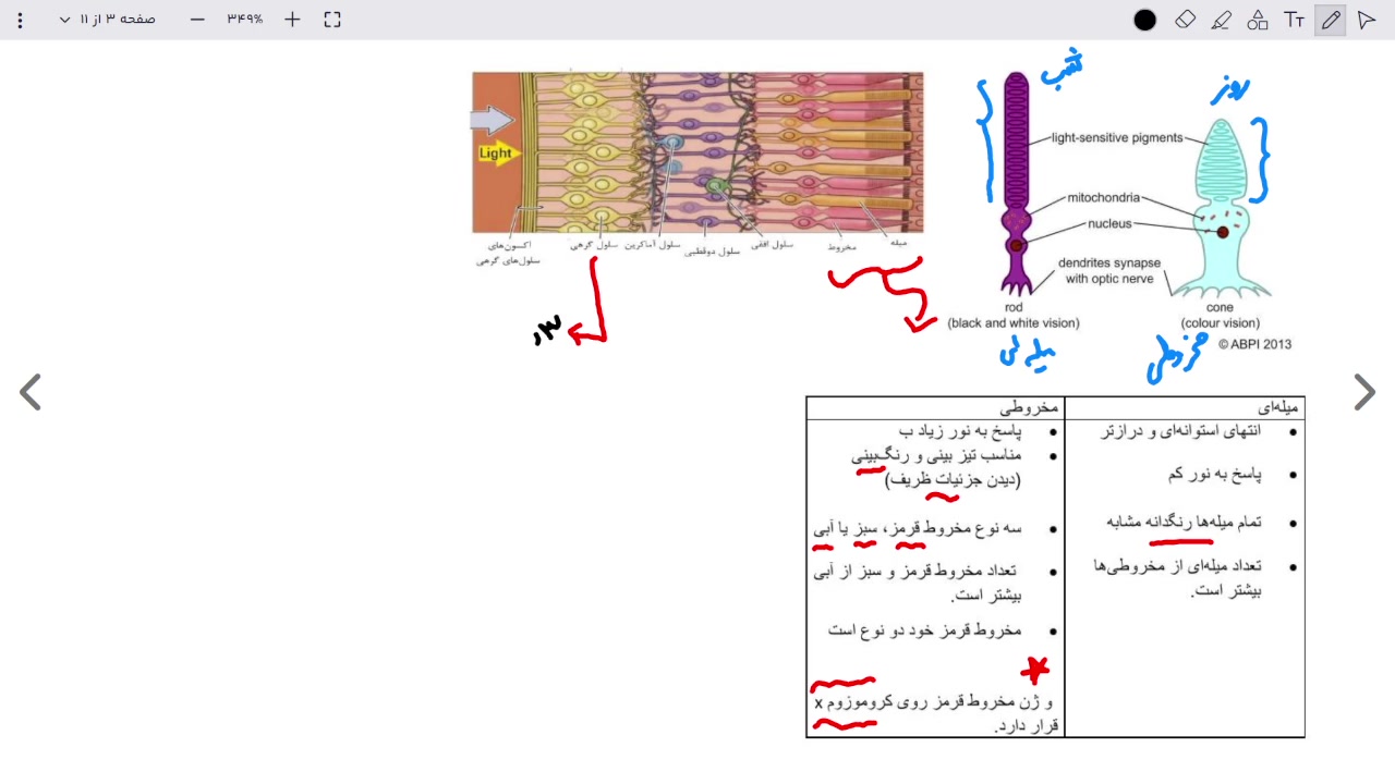 نمونه تدریس کلاس فیزیولوژی کنکور اارشد وزارت بهداشت - فصل بینایی ترند روز