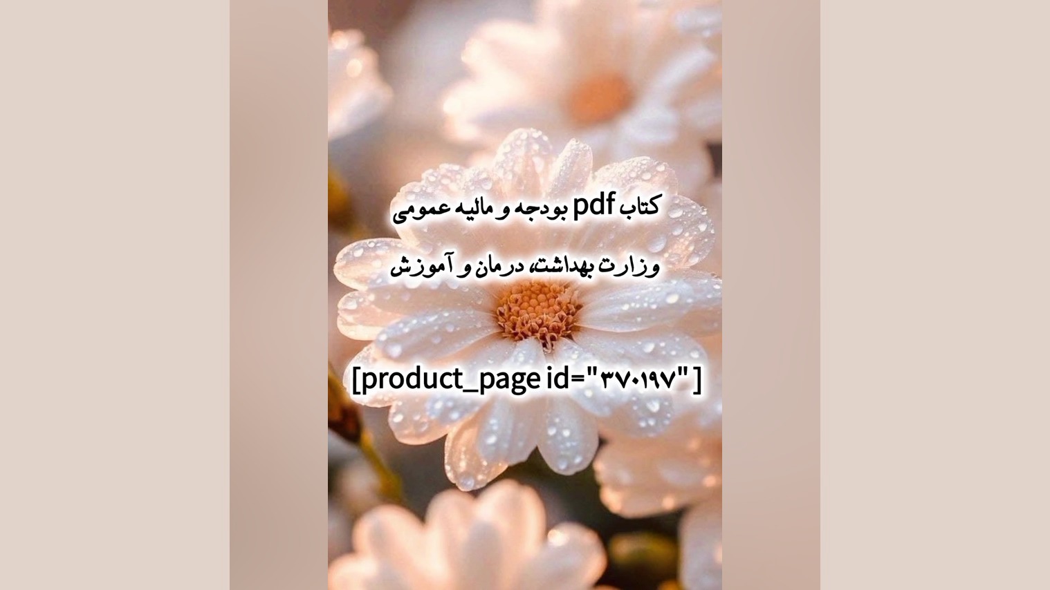 کتاب pdf بودجه و مالیه عمومی وزارت بهداشت، درمان و آموزش عصب‌کشی