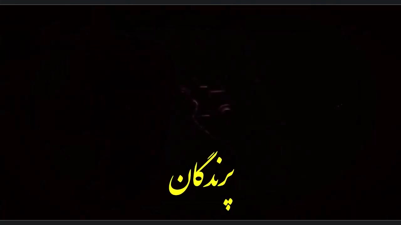 دموی معرفی و تحلیل فیلم «پرندگان» The Birds 1963 زمان65ثانیه
