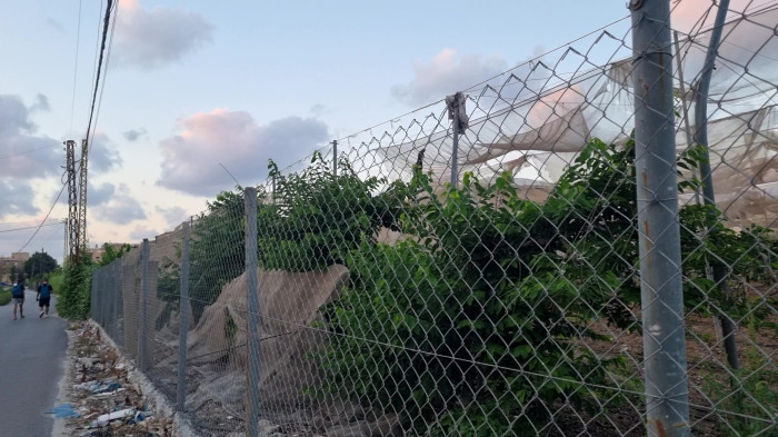 سایبان بستان ؛ روش کاهش شدید افتاب سوزان بر گیاه