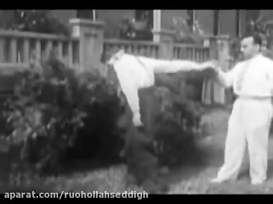 Waxy Flexibility (who moves who?)