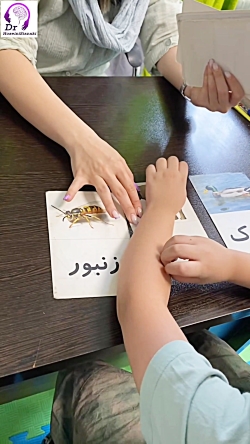 تمرین افزایش توجه و تمرکز کودکان با بازی فلش‌کارت‌ها
