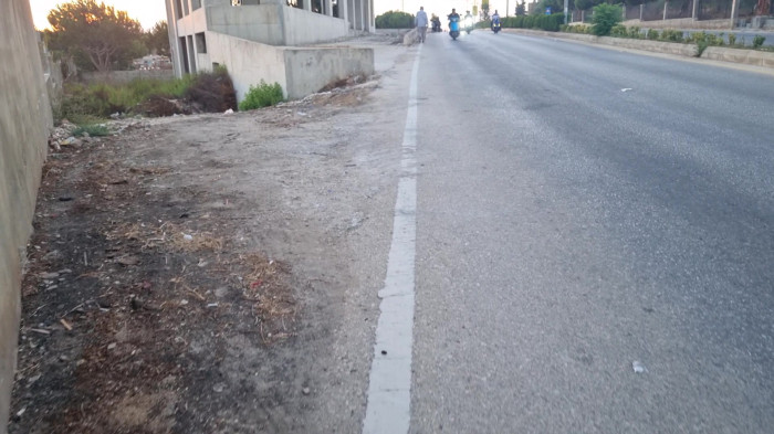 حزب الله درخت مقاوم در سختی