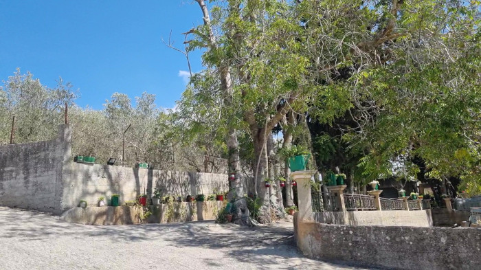 گل آرایی کوچه و حیاط منزل