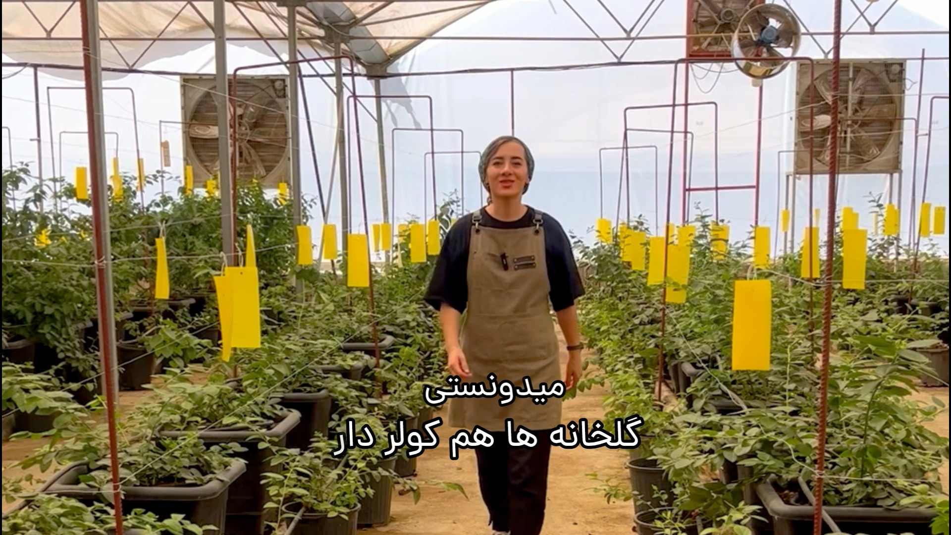 fereshteh_abbasikia